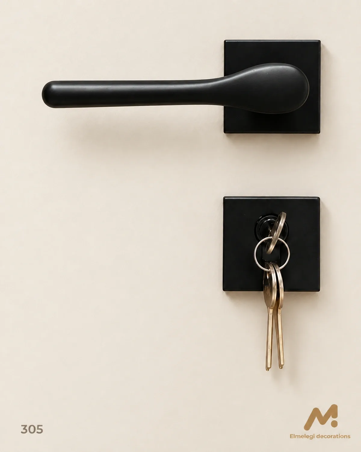Door handles 305