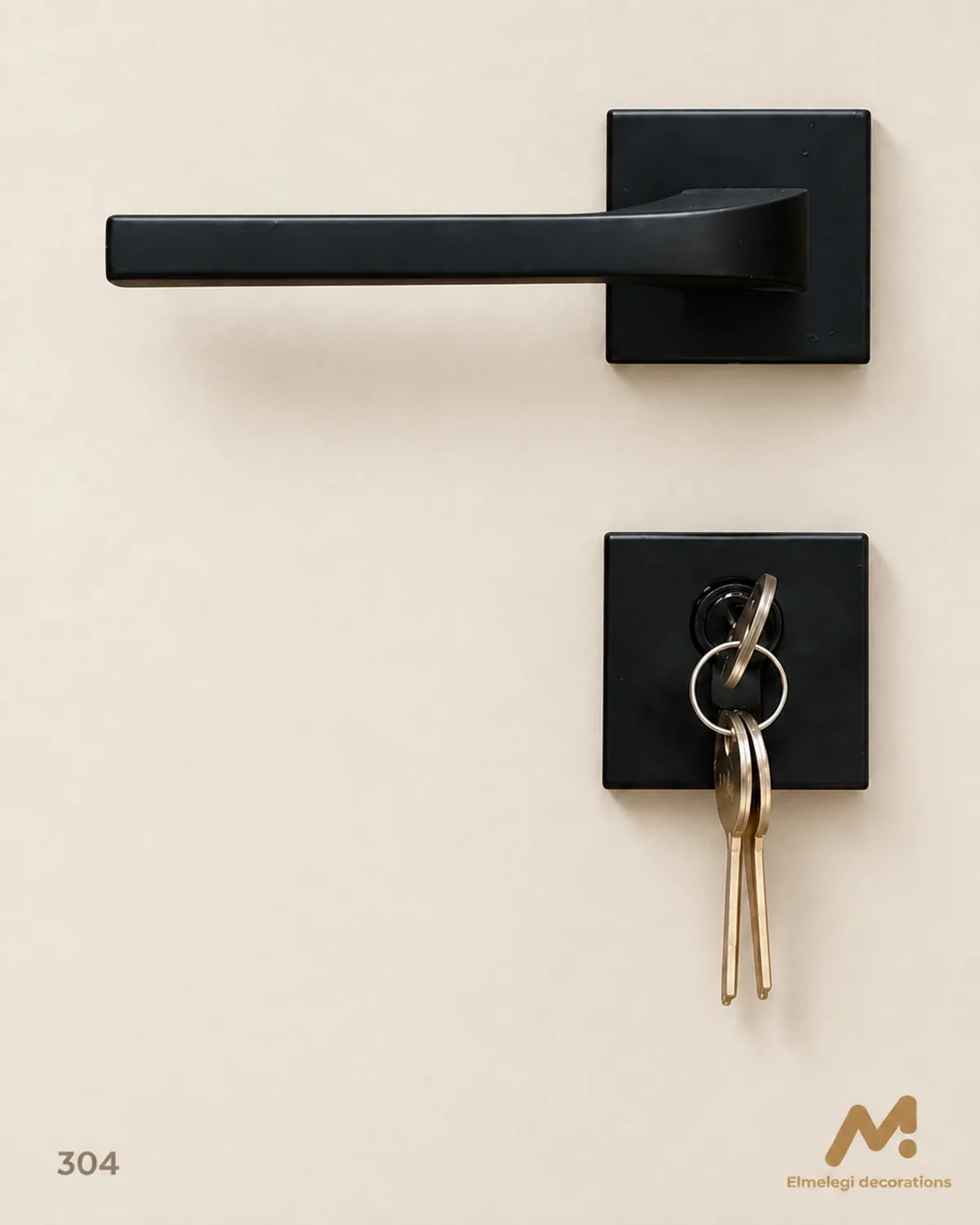 Door handles 304